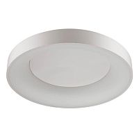 потолочный светодиодный светильник odeon light sole 4062/80cl в Новосибирске