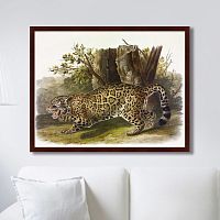 картина: jaguar, 1841г. в Новосибирске