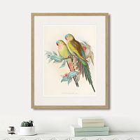 картина: love parrots, 1850г. в Новосибирске