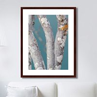 картина: trees on the galapagos islands, ecuador no1 в Новосибирске