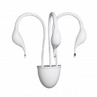 бра lightstar cigno collo wt 751636 в Новосибирске