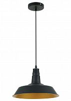 подвесной светильник odeon light kasl 3378/1 в Новосибирске