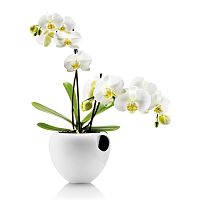 горшок для орхидеи orchid pot белый в Новосибирске