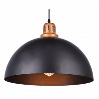 подвесной светильник arte lamp eurica a4249sp-1bk в Новосибирске