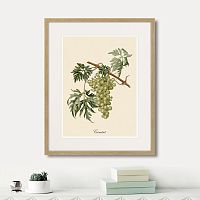 картина juicy fruit lithography №13, 1870 г., 42х52 см в Новосибирске