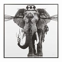 постер ornate elephant черный в Новосибирске