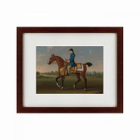 картина: bay racehorse with jockey up, 1730 в Новосибирске