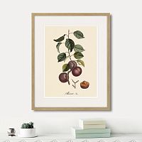 картина: juicy fruit lithography №6, 1870г. в Новосибирске