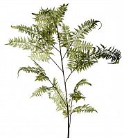 декор fl12056 (giant fern) в Новосибирске