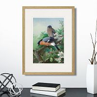 картина: bullfinches, 1915г. в Новосибирске