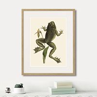 картина: big jumping frog, 1745г. в Новосибирске