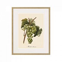 картина juicy fruit lithography №13-1, 1870 г., 42х52 см в Новосибирске