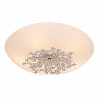 потолочный светильник silver light verbena 836.50.5 в Новосибирске