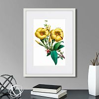 картина: caribian flora yellow allamanda, 1740г. в Новосибирске