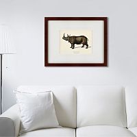 картина: rhinoceros ancienne gravure, 1849 в Новосибирске