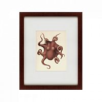 картина: pacific octopus, 1731 в Новосибирске