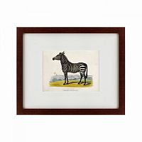 картина: a zebra, 1830 в Новосибирске