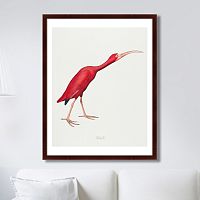 картина: scarlet ibis, 1827г. в Новосибирске