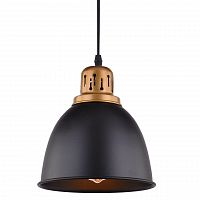 подвесной светильник arte lamp eurica a4245sp-1bk в Новосибирске