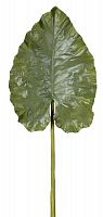 декор giant taro leaf в Новосибирске