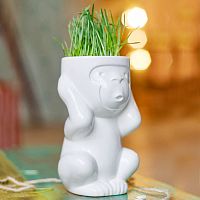 горшок для растений eco игнорик в Новосибирске