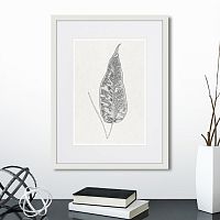 картина: the fern collection №5 в Новосибирске