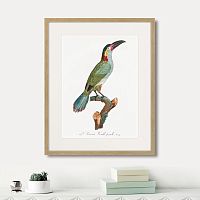 картина: beautiful toucans №3, 1806г. в Новосибирске