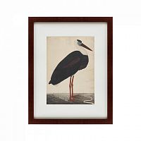 картина: black stork in a landscape, индия, 1780 в Новосибирске