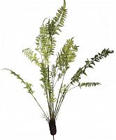 декор fern plant в Новосибирске