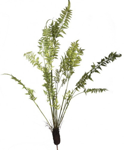 декор fern plant в Новосибирске