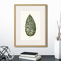 картина: single leaf of a plant №1, 1865г. в Новосибирске