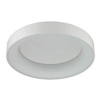 потолочный светодиодный светильник odeon light sole 4062/50cl в Новосибирске